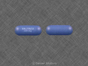 Famvir and valtrex are medications from which drug classification